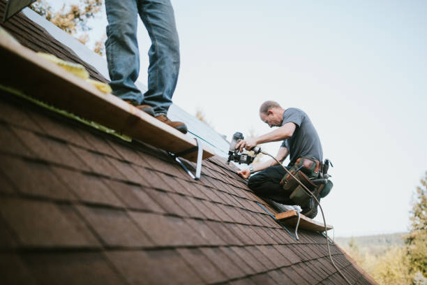 Quick and Trustworthy Emergency Roof Repair Services in Shady Spring, WV